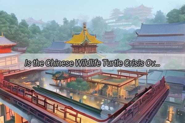 Is the Chinese Wildlife Turtle Crisis Over A Closer Look at the Abundance of Wild Turtles in China